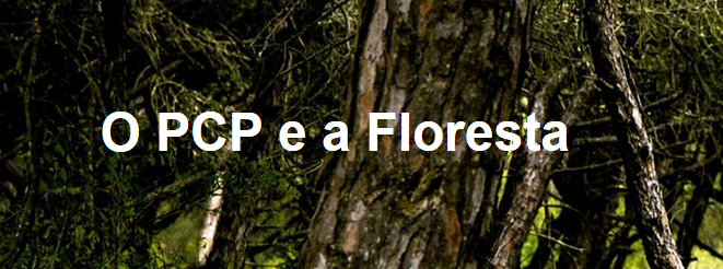 Dossier Floresta O PCP e a Floresta